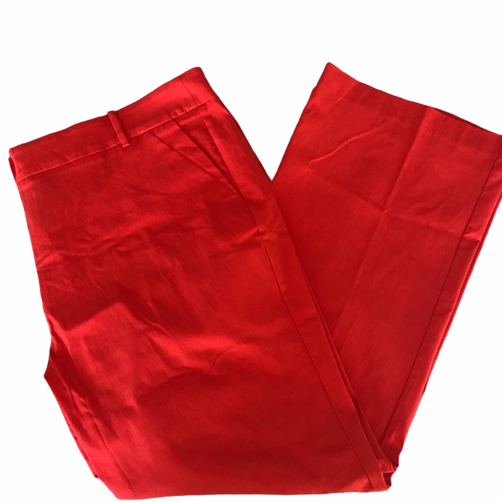 LANE BRYANT PANTS